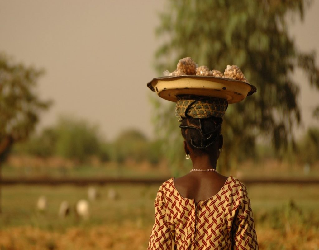 Au sein du Sara (Salon International de l’Agriculture et des Ressources Animales), la Fondation Avril, organise avec un ensemble de partenaires institutionnels et économiques, un colloque intitulé « Entreprendre contre la malnutrition », le lundi 25 et mardi 26 novembre 2019 à Abidjan en Côte d’Ivoire.