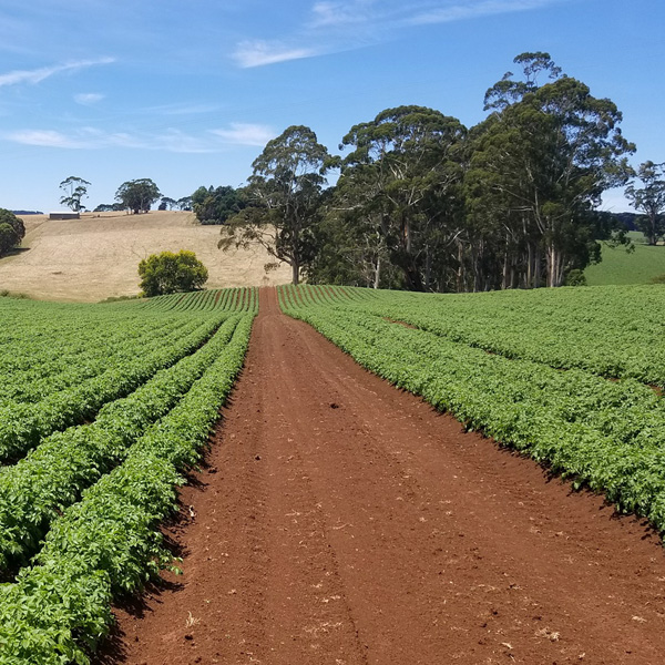 As part of its « Soils and Climate » mission, Fondation Avril supports Agreenium through the development of an online course (MOOC – « Sols et Changement Climatique », Soils and Climate Change), to help spread knowledge about soils and their role in climate change and food security.