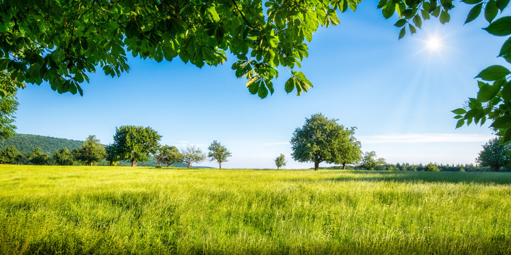 La Fondation a soutenu l’association afin d’identifier les activités agricoles susceptibles d’intéresser les chômeurs de longue durée