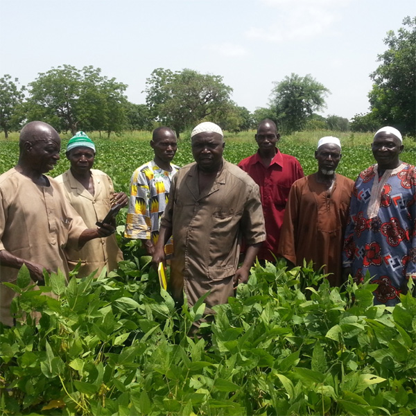 Au Burkina Faso, la Fondation Avril et Agropol ont signé un protocole d’accord en 2016 avec le gouvernement burkinabé sur la filière soja, prévoyant notamment un développement de la production.