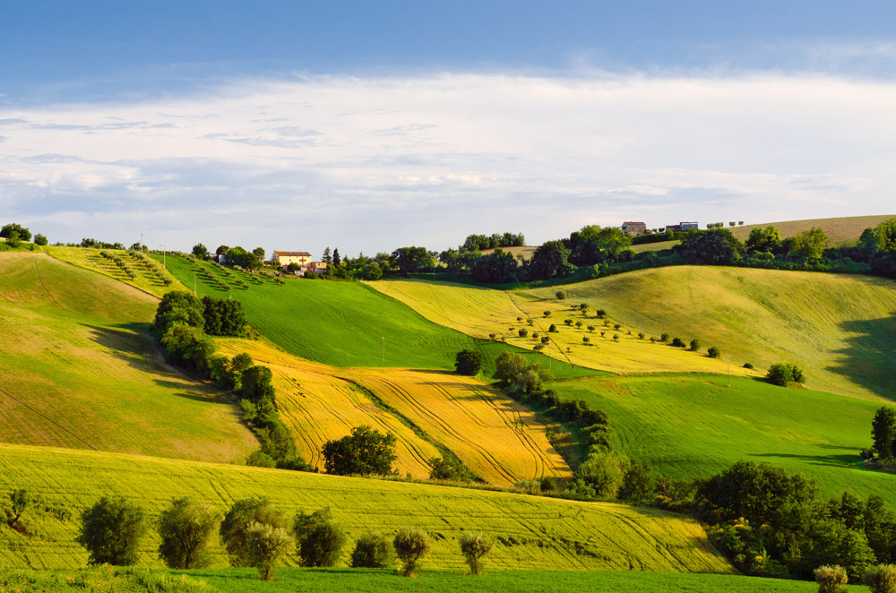 The association Au cœur des Paysans offers visits to farms along a hiking trail that crosses France by the « diagonal of emptiness » from Charleville-Mézières to Fort-Romeu.