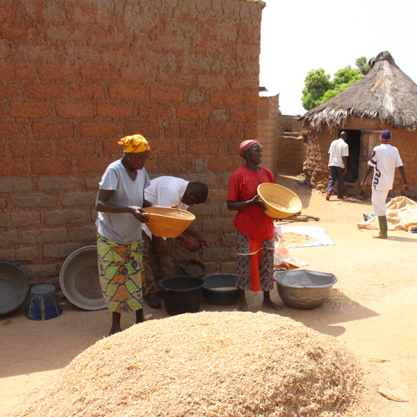 Fondation Avril has been working since 2016 in the issue of financing the agricultural sectors in West Africa.