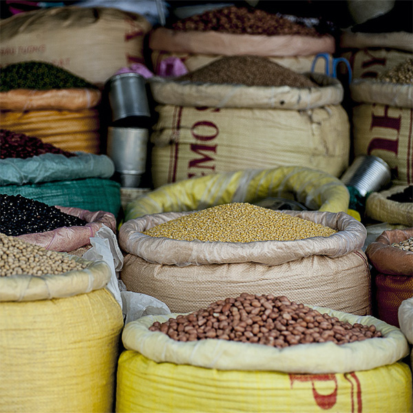 Grâce à la Fondation Avril et à un appel à la générosité du public sur la plateforme de crowdfunding MiiMOSA, l’association Agrisud International a pu actualiser le guide « L’agroécologie en pratiques » élaboré par l’ONG en 2010.