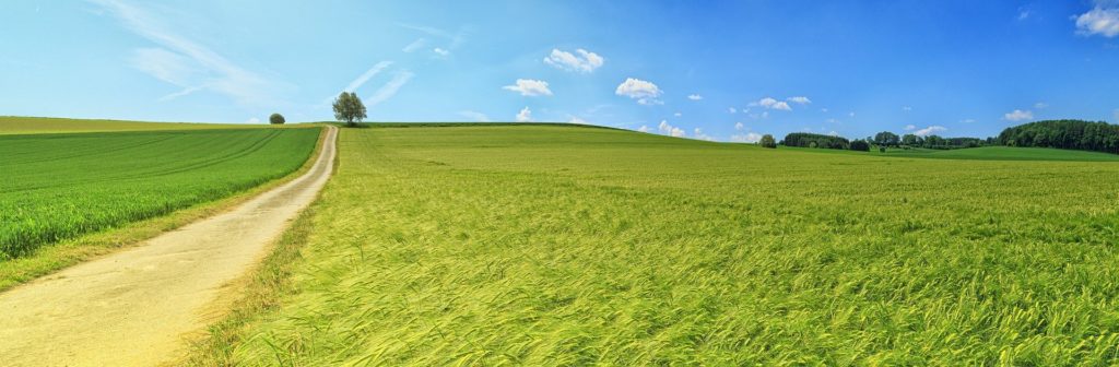 Conducted by a consortium of key players in the agricultural sector, initially led by Fondation Avril, the project initiated by NumAgri aims to promote value creation for French farmers by facilitating data exchanges between actors in the agricultural sector, from the farm to the consumer.