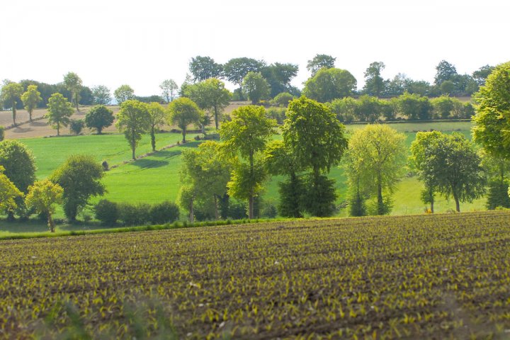 En 2012, L’Association Française d’Agroforesterie (AFAF) a lancé le programme Agr’eau pour mettre en œuvre l’agro-écologie et  protéger la ressource en eau. Agr’eau se décline à l’échelle des grands bassins hydrographiques. La région pilote historique est le bassin Adour-Garonne soutenue notamment par l’Agence de l’Eau. Agr’eau est un réseau d’agriculteurs, conseillers, chercheurs et d’acteurs privés et publics.