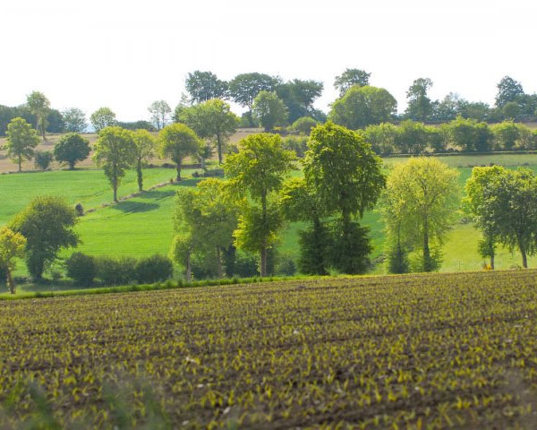 In 2012, the French Agroforestry Association (AFAF) launched the Agr'eau programme to implement agro-ecology and protect water resources. Agr'eau is applied on the scale of large river basins. The historical pilot region is the Adour-Garonne basin supported in particular by the Water Agency. Agr'eau is a network of farmers, advisers, researchers and private and public stakeholders.